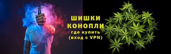 дживик Касимов