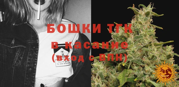дживик Касимов
