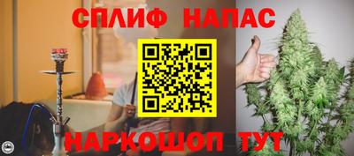 гашик Берёзовский