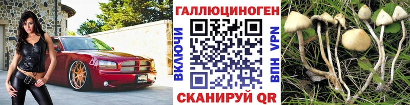 Псилоцибиновые грибы Psilocybine cubensis  Рубцовск 